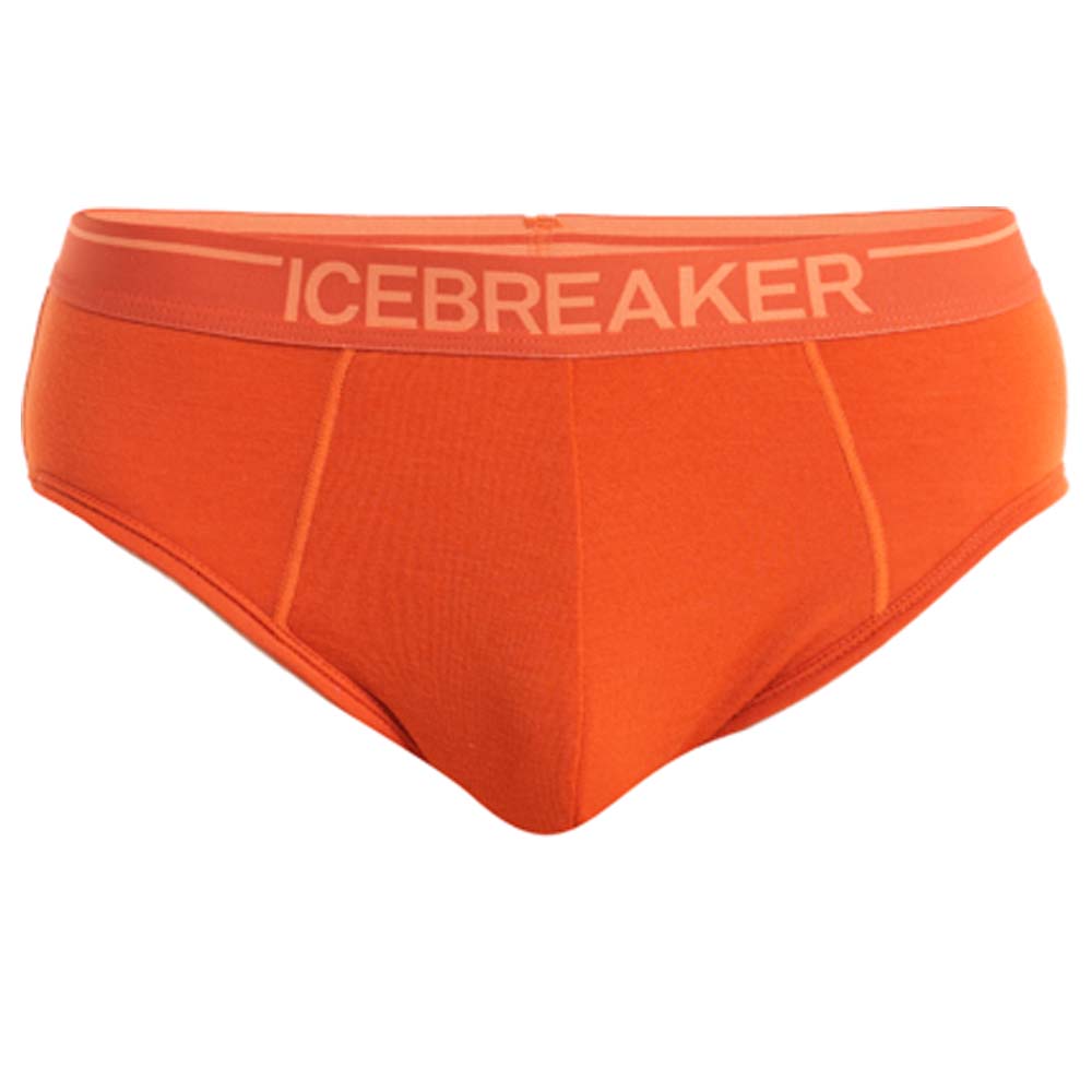 ICEBREAKER Anatomica Briefs Men - Unterhose