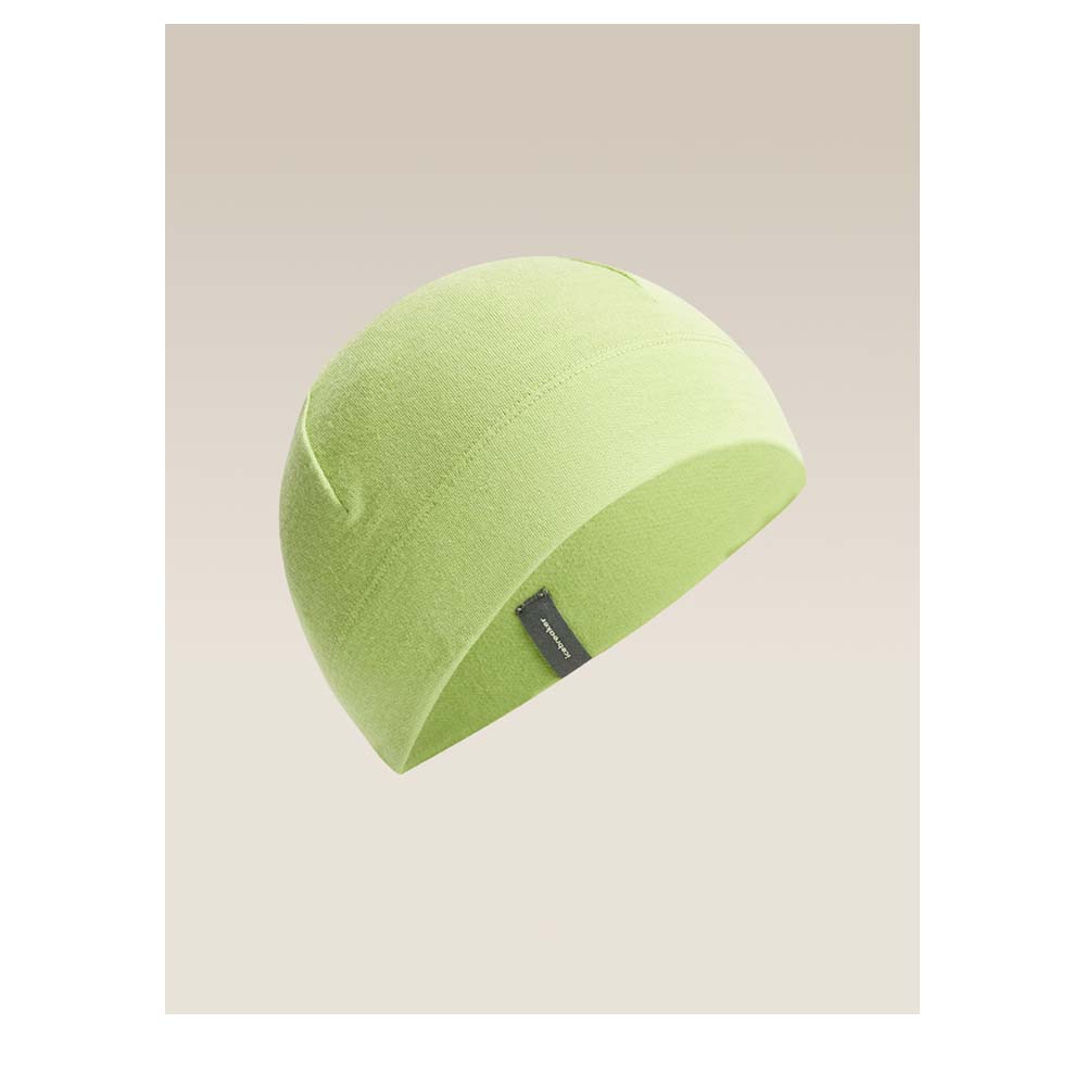 ICEBREAKER Merino 260 Quantum Beanie - Beanie