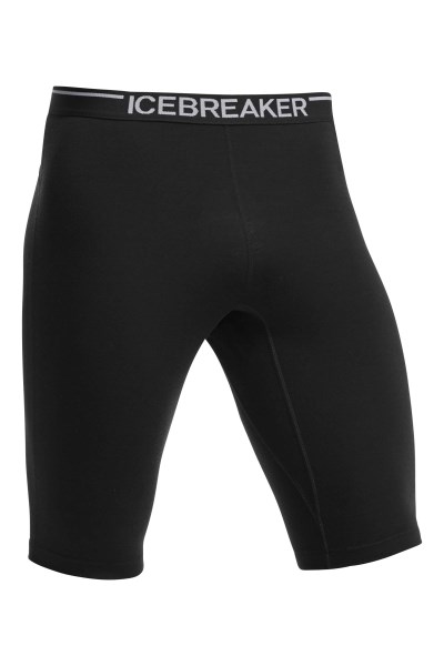 ICEBREAKER 200 Zone Shorts Men - Shorts