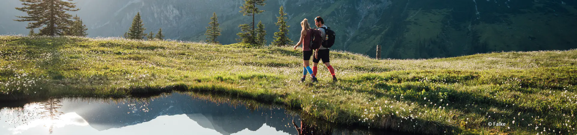 Falke Ergonomic Sports Systems