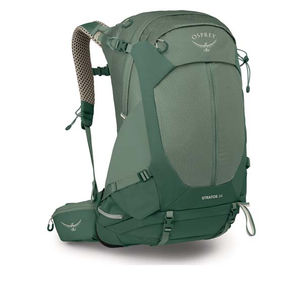 pine leaf green